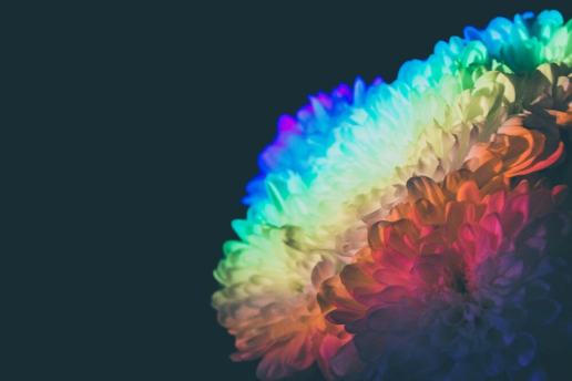 My Mental ADHD Planner: How I Blog Without Burning Out